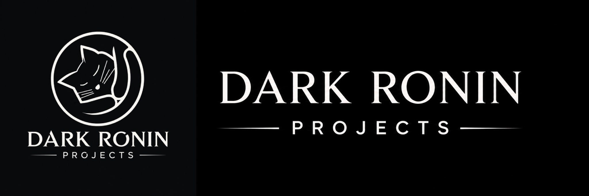 Dark Ronin Projects