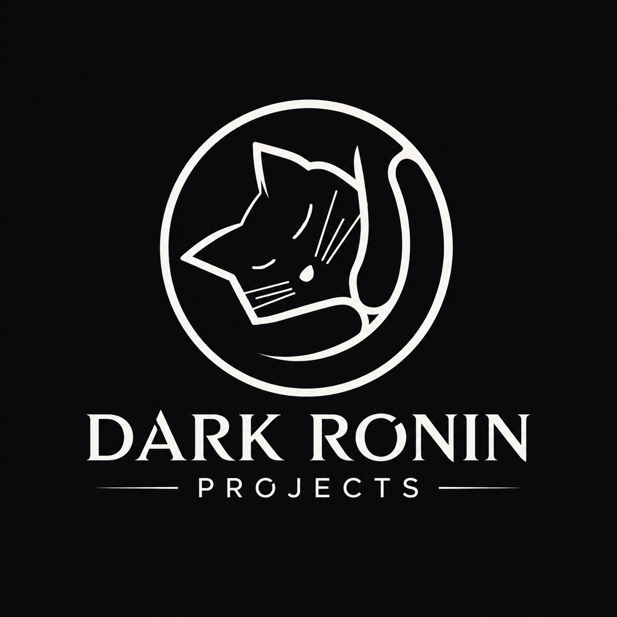 Dark Ronin Projects